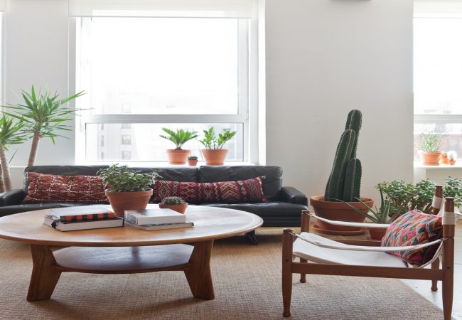 Air Purifying Plants For A Fresh And Clean Home