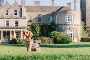 UK staycations: Lucknam Park Hotel & Spa