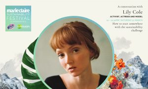 Join Lily Cole at Marie Claire’s Sustainability Festival, sponsored by Vanish and Garnier: register for free now