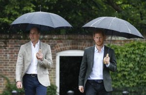 Prince William appeared to make a sweet gesture to protect his brother before the statue unveiling