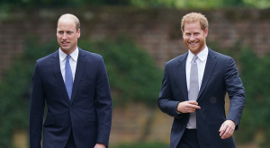 Did Prince William just extend a public olive branch to Prince Harry?