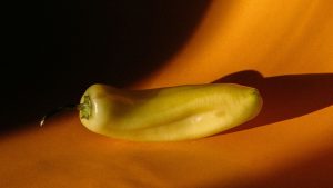Science says these are the four most common penis types