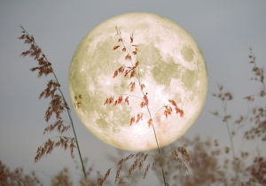 The last Supermoon of the year is here: here’s everything you need to know