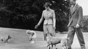 The Queen’s corgis were ‘there to comfort her’ when she died