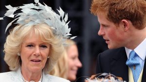 Queen Consort Camilla “always felt quite wary” of Prince Harry, royal author claims